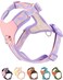 SOLMOONY Purple Medium Dog Harness for Medium Dogs No Pull Dog Harness with 2 Leash Clips Puppy Harness Dog Vest Harness Purple M