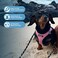 Best Pet Supplies All Weather Mesh Plush Reflective No Pull Harness for Small Medium Dogs Cats Secure with Hook Loop Fastener Buckle Double DRings PinkBlack Trim L