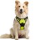 rabbitgoo Dog Harness No Pull with 2 Leash Clips Adjustable Soft Padded Reflective Oxford No Choke Pet Vest with Easy Control Handle for Medium Sized Dogs Green M
