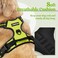 rabbitgoo Dog Harness No Pull with 2 Leash Clips Adjustable Soft Padded Reflective Oxford No Choke Pet Vest with Easy Control Handle for Medium Sized Dogs Green M