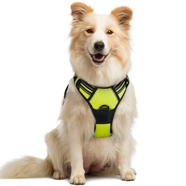 rabbitgoo Dog Harness No Pull with 2 Leash Clips Adjustable Soft Padded Reflective Oxford No Choke Pet Vest with Easy Control Handle for Medium Sized Dogs Green M