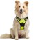 rabbitgoo Dog Harness No Pull with 2 Leash Clips Adjustable Soft Padded Reflective Oxford No Choke Pet Vest with Easy Control Handle for Medium Sized Dogs Green M