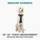 Embark Pets Embark Adventure Dog Harness Reflective Trim No Pull Dog Harness Medium Sized Military Grade Nylon Front Clip with Gel Lined Handle Soft Padded Puppy Harnesses for Any Breed