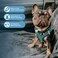 Best Pet Supplies All Weather MeshPlush Reflective No Pull Harness for Small Medium Dogs Cats Secure with Hook Loop Fastener Buckle Double DRings Turquoise 2Tone M