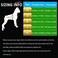 JUXZH Truelove No Pull Dog Harness with Easy Control Handle and 2 Leash AttachmentsReflective Adjustable Pet Vest