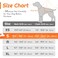 Eagloo Dog Harness Small Sized Dog No Pull Service Vest with Reflective Strips and Control Handle Adjustable and Comfortable for Walking No Choke Pet Harness with 2 Metal Rings Orange S