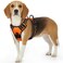 Eagloo Dog Harness Small Sized Dog No Pull Service Vest with Reflective Strips and Control Handle Adjustable and Comfortable for Walking No Choke Pet Harness with 2 Metal Rings Orange S