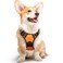 Eagloo Dog Harness Medium Sized Dog No Pull Service Vest with Reflective Strips and Control Handle Adjustable and Comfortable for Walking No Choke Pet Harness with 2 Metal Rings Orange M