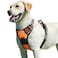 Eagloo Dog Harness for Large Dogs No Pull Service Vest with Reflective Strips and Control Handle Adjustable and Comfortable for Walking No Choke Pet Harness with 2 Metal Rings Orange L