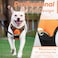 Eagloo Dog Harness for Large Dogs No Pull Service Vest with Reflective Strips and Control Handle Adjustable and Comfortable for Walking No Choke Pet Harness with 2 Metal Rings Orange L
