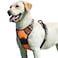 Eagloo Dog Harness for Large Dogs No Pull Service Vest with Reflective Strips and Control Handle Adjustable and Comfortable for Walking No Choke Pet Harness with 2 Metal Rings Orange L