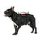 OneTigris Tactical Dog HarnessPuppy Harness with Handle Military Vest for Small Dogs Outdoor Easy Control Training Walking