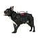 OneTigris Tactical Dog HarnessPuppy Harness with Handle Military Vest for Small Dogs Outdoor Easy Control Training Walking