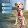Best Pet Supplies All Weather MeshPlush Reflective No Pull Harness for Small Medium Dogs Cats Secure with Hook Loop Fastener Buckle Double DRings Fuchsia 2Tone L