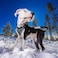 Kurgo Journey Air Dog Harness Secure Fit for Active Dogs Padded Chest Lightweight Ripstop Fabric Breathable Mesh Reflective Trim Back Assist Handle Black Large