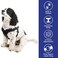 Gooby Sporty Escape Free Harness Medium Black Neoprene NoPull 4Point Adjustment for Small Dogs up to 35 lbs