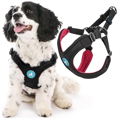 Gooby Sporty Escape Free Harness Medium Black Neoprene NoPull 4Point Adjustment for Small Dogs up to 35 lbs
