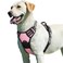 Eagloo Dog Harness for Large Dogs No Pull Service Vest with Reflective Strips and Control Handle Adjustable and Comfortable for Walking No Choke Pet Harness with 2 Metal Rings Pink L