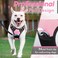 Eagloo Dog Harness for Large Dogs No Pull Service Vest with Reflective Strips and Control Handle Adjustable and Comfortable for Walking No Choke Pet Harness with 2 Metal Rings Pink L