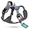 Embark Pets Embark Adventure Large Dog Harness NoPull Reflective Trim MilitaryGrade Nylon Front Clip with GelLined Handle