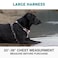 Embark Pets Embark Adventure Large Dog Harness NoPull Reflective Trim MilitaryGrade Nylon Front Clip with GelLined Handle