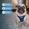 Best Pet Supplies Voyager Stepin Air Harness All Weather Mesh Reflective No Pull Harness for Dogs Cats Secure with Hook Loop Fastener Buckle Double DRings BlueBlack Trim S