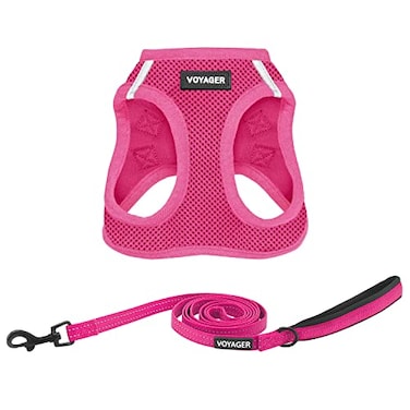 Best Pet Supplies Voyager Stepin Air All Weather Mesh Harness and Reflective Dog 5ft Leash Combo with Neoprene Handle for Small Medium and Large Breed Puppies Set Fuchsia Medium