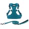 Best Pet Supplies Voyager Adjustable Stepin Flex Breathable Mesh Dog Harness for Small Medium Large Dogs Leash Set Turquoise XS