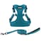 Best Pet Supplies Voyager Adjustable Stepin Flex Breathable Mesh Dog Harness for Small Medium Large Dogs Leash Set Turquoise XS