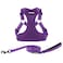 Best Pet Supplies Voyager Adjustable Stepin Flex Breathable Mesh Dog Harness for Small Medium Large Dogs Leash Set Purple L