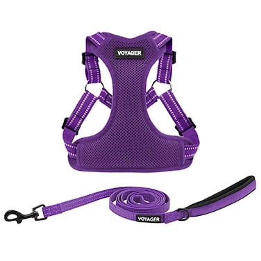 Best Pet Supplies Voyager Adjustable Stepin Flex Breathable Mesh Dog Harness for Small Medium Large Dogs Leash Set Purple L