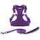 Best Pet Supplies Voyager Adjustable Stepin Flex Breathable Mesh Dog Harness for Small Medium Large Dogs Leash Set Purple L