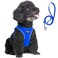 Fida Comfy Dog Harness with Leash Soft Puppy Vest Escape Proof Breathable Lightweight Soft Mesh Adjustable Reflective Stepin Harness for Small Medium Pet Walking M Blue