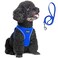 Fida Comfy Dog Harness with Leash Soft Puppy Vest Escape Proof Breathable Lightweight Soft Mesh Adjustable Reflective Stepin Harness for Small Medium Pet Walking M Blue