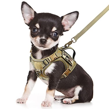 SALFSE Tactical Dog Harness Small Military K9 Puppy Vest Harness and Leash No Pull Outdoor Training XS Dog Harness with Handle XSmall KhakiLeash