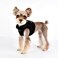 Puppia Terry Vest Dog Harness Stepin Winter Suede Warm No Choke No Pull Training Walking for Small and Medium Dog Black Small