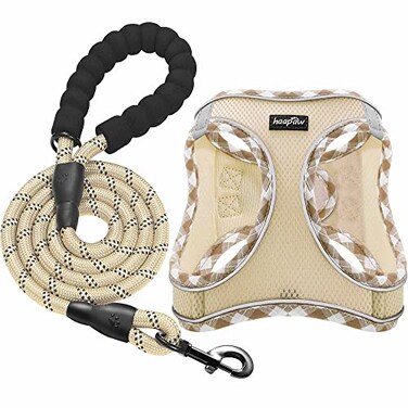 haapaw Dog Harness with Leash Set No Pull Adjustable Reflective Stepin Puppy Harness with Thickened Padded Vest for ExtraSmallSmall Medium Dogs