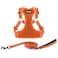 Best Pet Supplies Voyager Adjustable Stepin Flex Breathable Mesh Dog Harness for Small Medium Large Dogs Leash Set Orange L