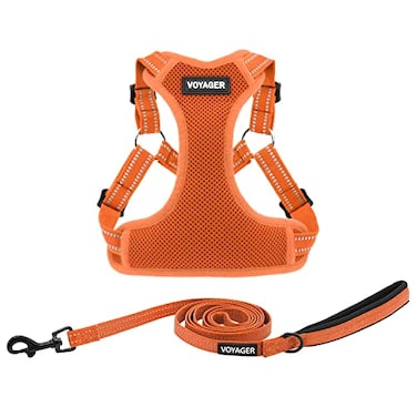 Best Pet Supplies Voyager Adjustable Stepin Flex Breathable Mesh Dog Harness for Small Medium Large Dogs Leash Set Orange L