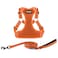 Best Pet Supplies Voyager Adjustable Stepin Flex Breathable Mesh Dog Harness for Small Medium Large Dogs Leash Set Orange L