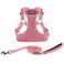 Best Pet Supplies Voyager Adjustable Stepin Flex Breathable Mesh Dog Harness for Small Medium Large Dogs Leash Set Pink XS