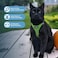 Best Pet Supplies Voyager Stepin Air Harness All Weather Mesh Reflective No Pull Harness for Dogs Cats Secure with Hook Loop Fastener Buckle Double DRings Lime Green 2Tone L