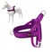 Plutus Pet No Pull Dog Harness with Breathable Mesh Padded Adjustable Reflective Escape Proof Dog Harness Quick Fit Dog Vest Harness for Small Medium Large DogsM Purple