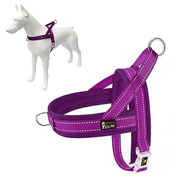 Plutus Pet No Pull Dog Harness with Breathable Mesh Padded Adjustable Reflective Escape Proof Dog Harness Quick Fit Dog Vest Harness for Small Medium Large DogsM Purple