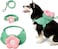 VETRESKA Flora Dog Harness Leash and Collar Set No Pull Dog Vest Harness for Walking and Training Adjustable Easy Control and Soft Padded Pet Harness and Backpack for Small Medium Large Dogs XS