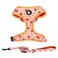 COOWONE Dog Harness and Leash Set Adjustable Dog Harness Dog Leash No Pull No Choke Puppy Harnesses for Walking Training for Small Medium Pet