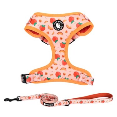 COOWONE Dog Harness and Leash Set Adjustable Dog Harness Dog Leash No Pull No Choke Puppy Harnesses for Walking Training for Small Medium Pet