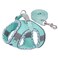 BTDCFY Step in Mesh Dog Harness and Leash Set Breathable Air Mesh Reflective Escape Proof Vest No Choke Lightweight Green