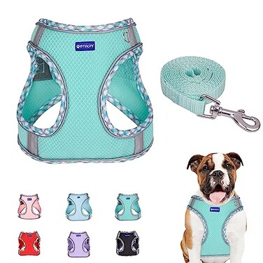 BTDCFY Step in Mesh Dog Harness and Leash Set Breathable Air Mesh Reflective Escape Proof Vest No Choke Lightweight Green