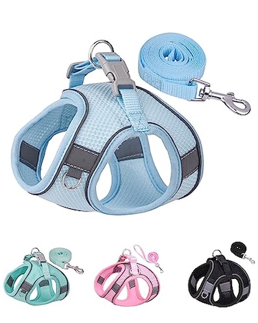 Solmoony Dog Harness for Small Medium Dogs No Pull Puppy Harness and Leash Set Puppy Harness Step in Harness for Small Dogs mesh Dog Harness Bule M
